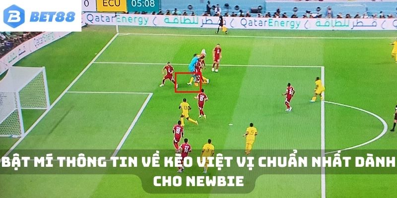 Bật Mí Thông Tin Về Kèo Việt Vị Chuẩn Nhất Dành Cho Newbie