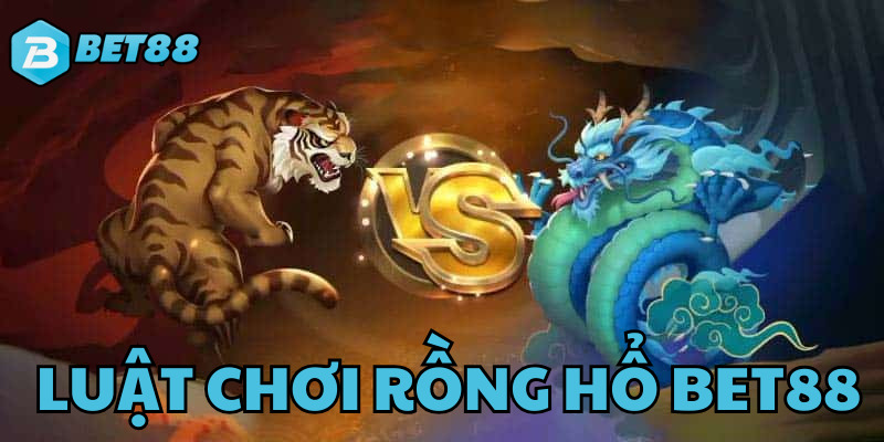 Hiểu sâu hơn về luật chơi rồng hổ