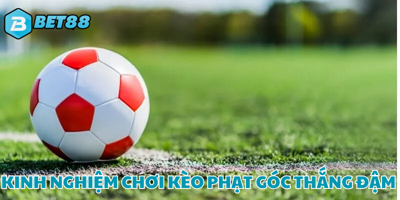 Kinh nghiệm chuẩn không cần chỉnh của kèo phạt góc